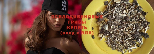гидропоника Богородск
