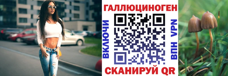 купить наркотики сайты  Медногорск  Галлюциногенные грибы мицелий 